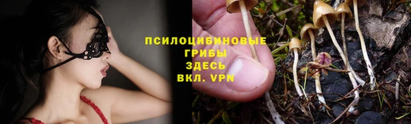 спиды Карталы