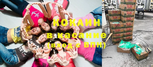 стафф Киреевск