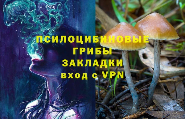 спиды Карталы