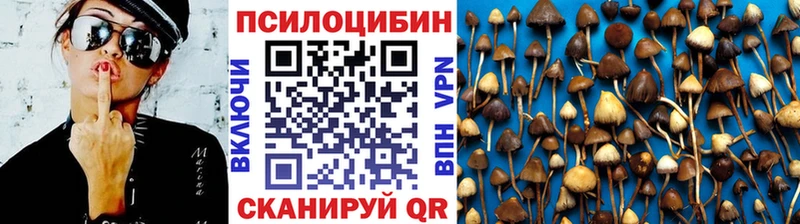 Галлюциногенные грибы MAGIC MUSHROOMS  Купить где  Долинск 